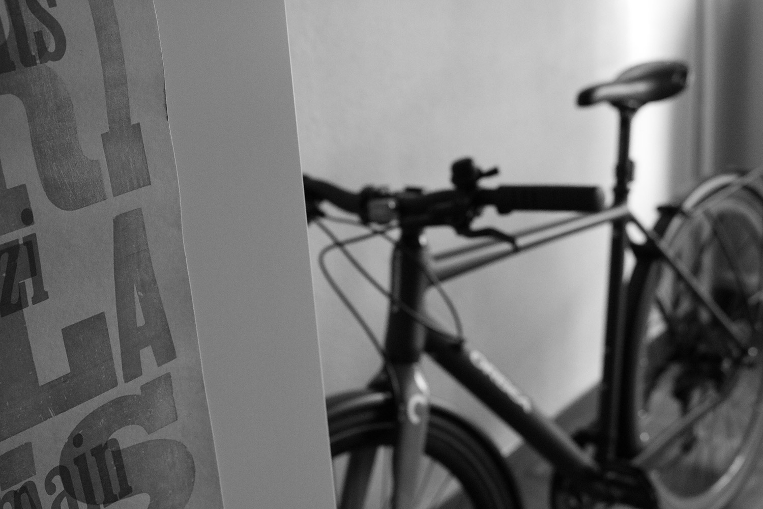 Fotografía del estudio